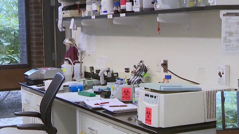 Story image: Proposed NIH overhaul sparks warnings about risks to medical research and public health