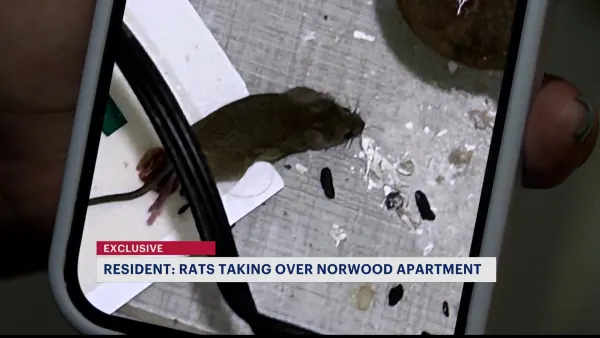 'I have a bite mark.' Norwood resident fears for health, safety due to rat infestation