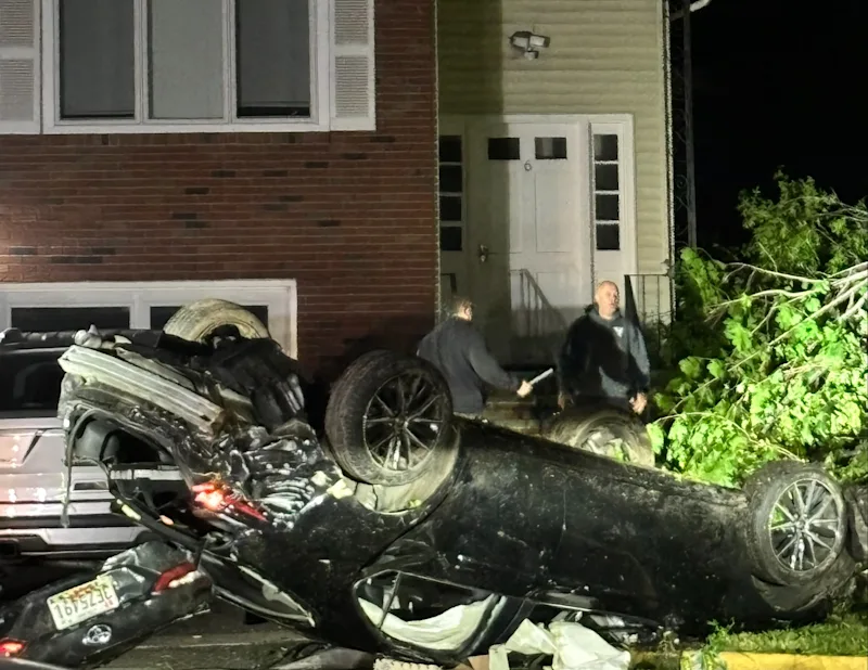 car crash.jpg