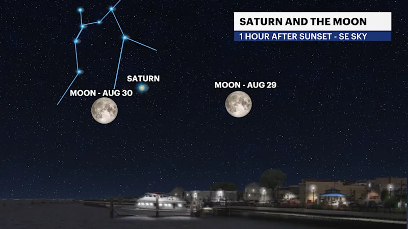 SATURN MOON PAIRING.png