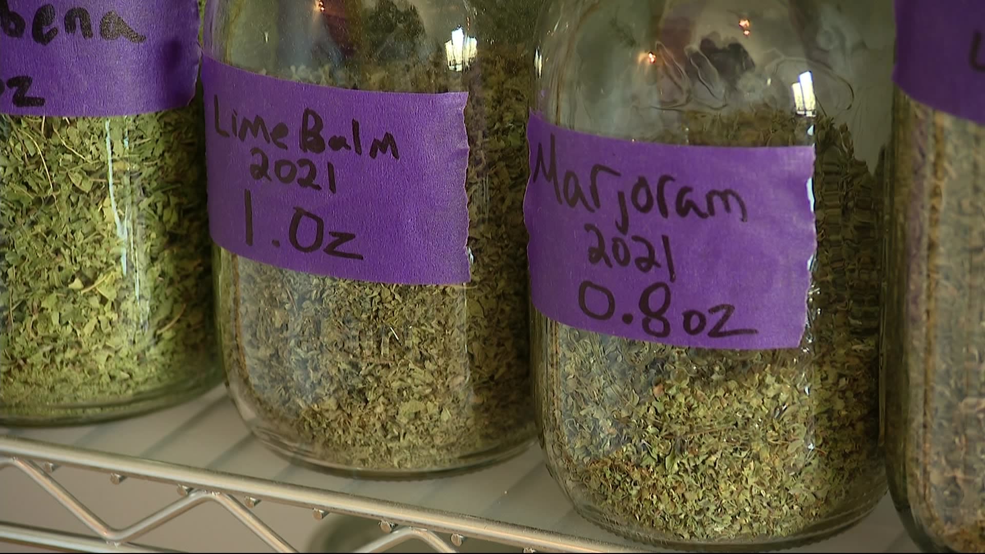 East End Herricks Lane Farm in Jamesport