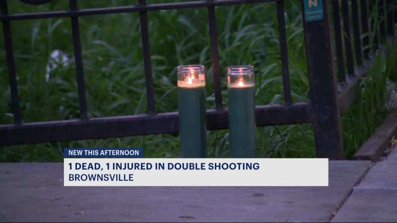 Story image: NYPD: 1 person dead, another injured in overnight double shooting in Brownsville