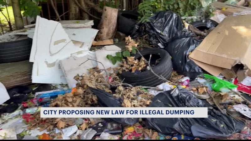 Story image: City proposes new rule aimed at eliminating illegal dumping