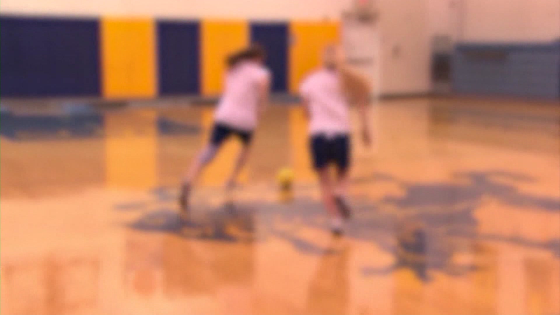 nassau-lawmakers-pass-bill-banning-trans-women-from-female-sports-teams