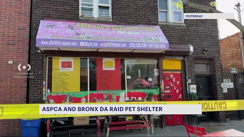 Story image: ASPCA and Bronx DA raid Williamsbridge pet shelter