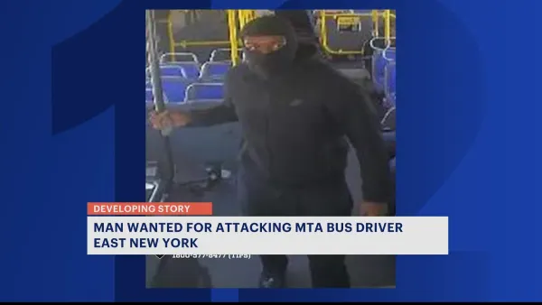 Man wanted for punching MTA bus driver in East New York, NYPD says