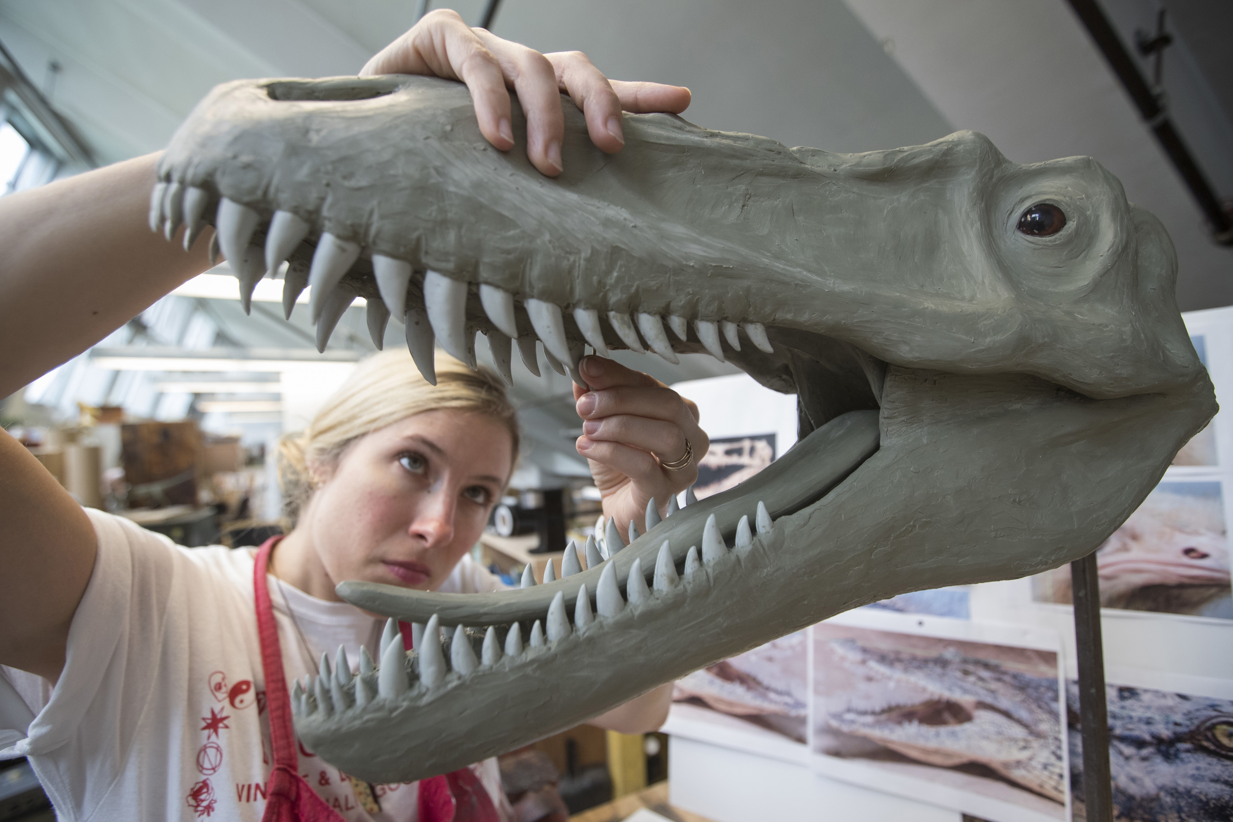 Article 241163 Hero Image