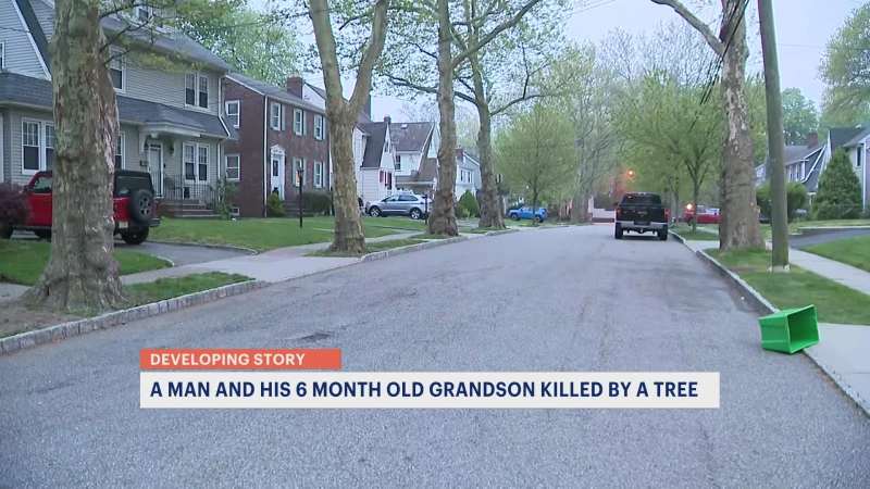 Story image: Police: Grandfather, 6-month-old grandson killed by fallen tree in Verona