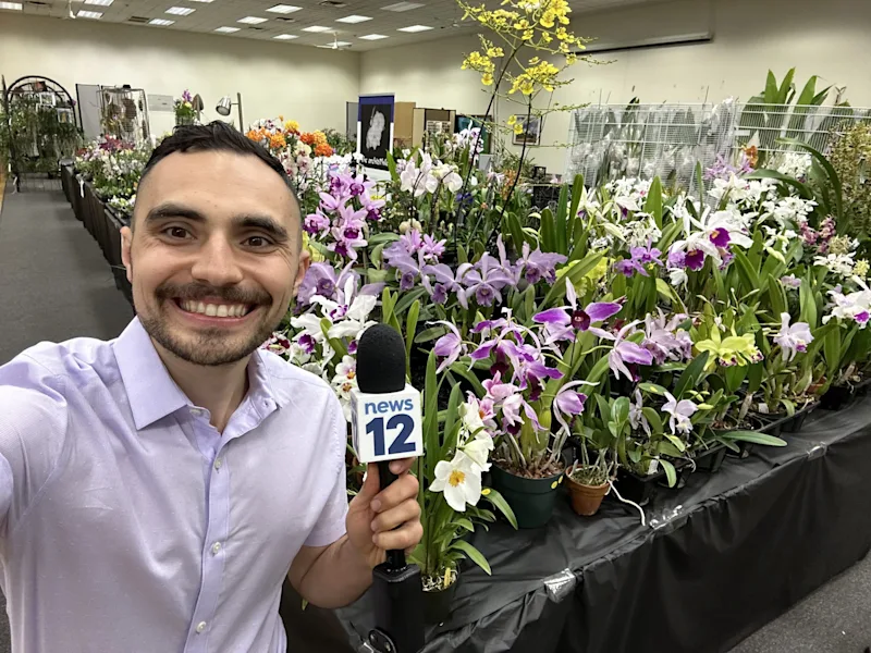 orchids.jpg