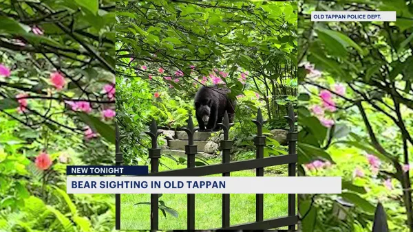 Old Tappan police issue warning following bear sighting