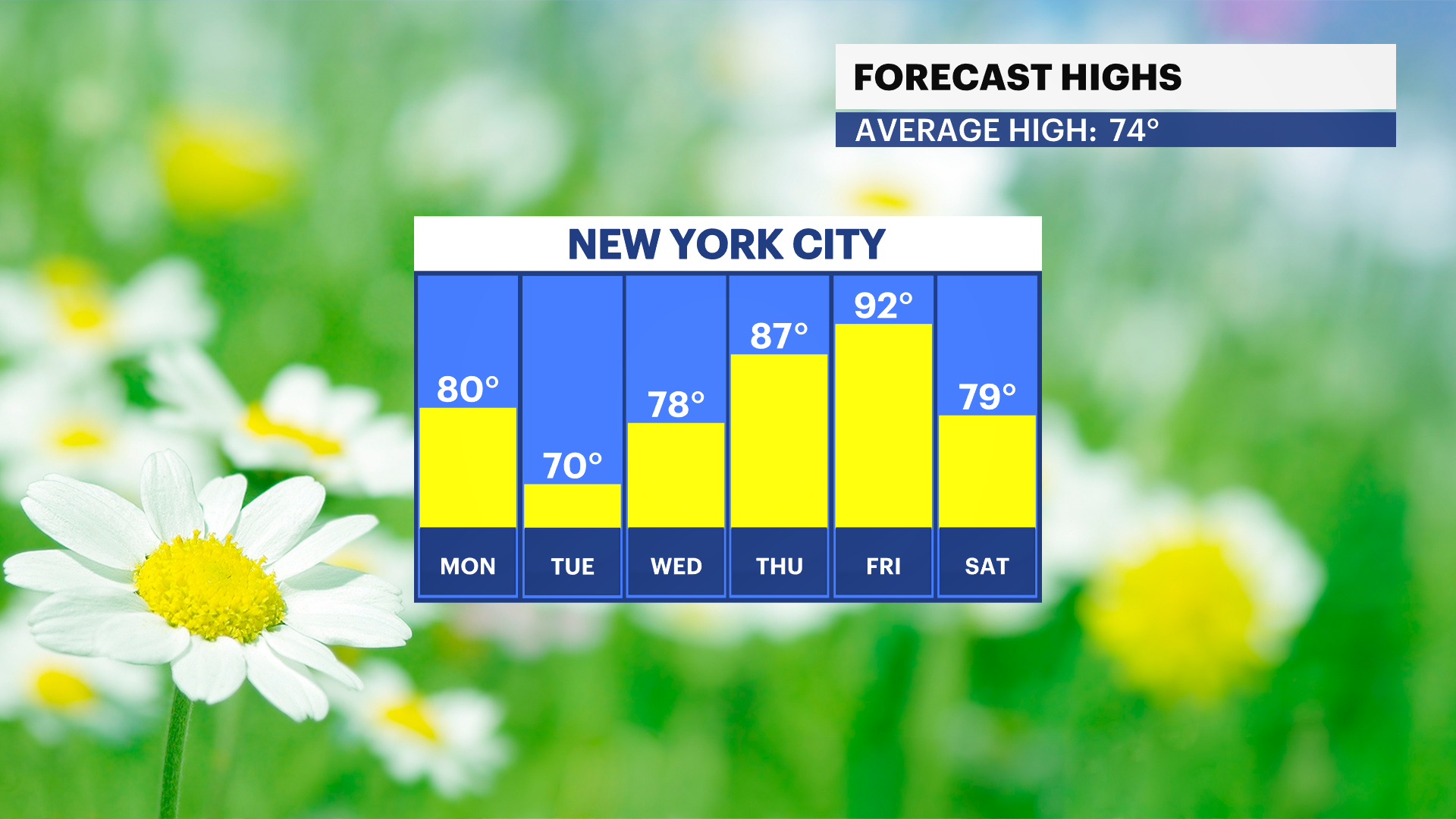 Allan_SM2.png