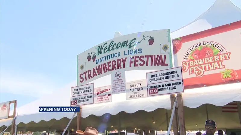 Story image: Annual Mattituck Strawberry Festival kicks off tonight