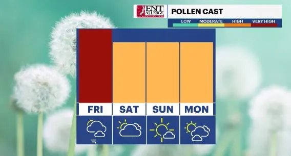 pollen forecast hv.JPG