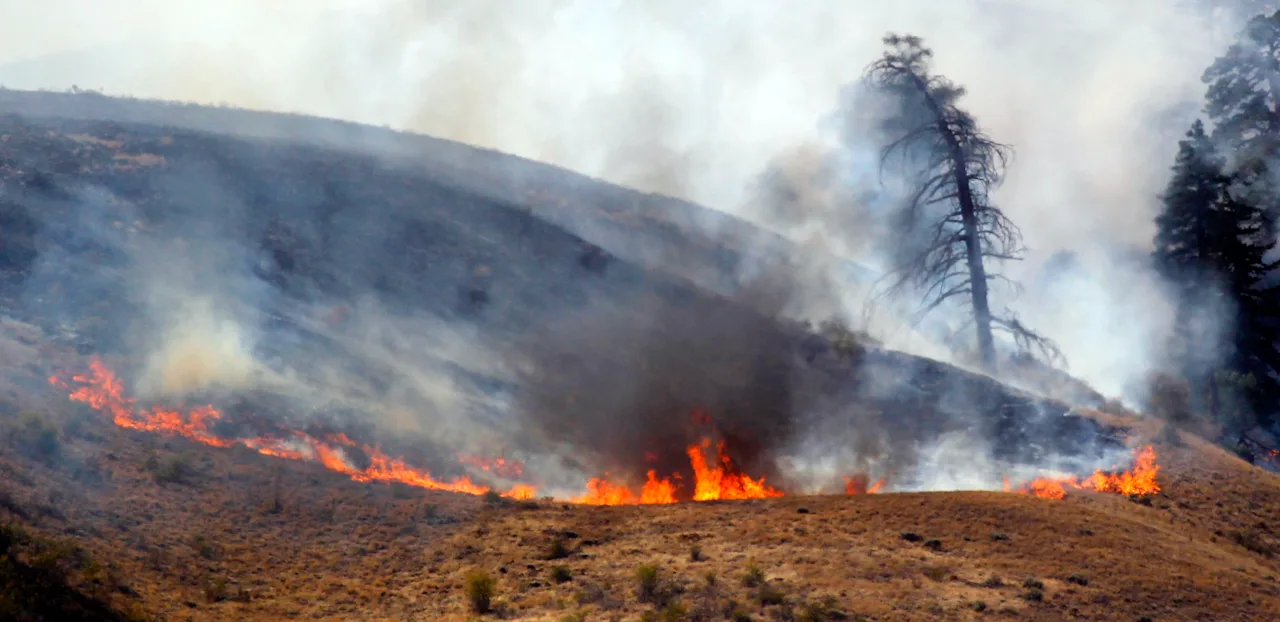 Guide: Tips to prevent fires during red flag warning