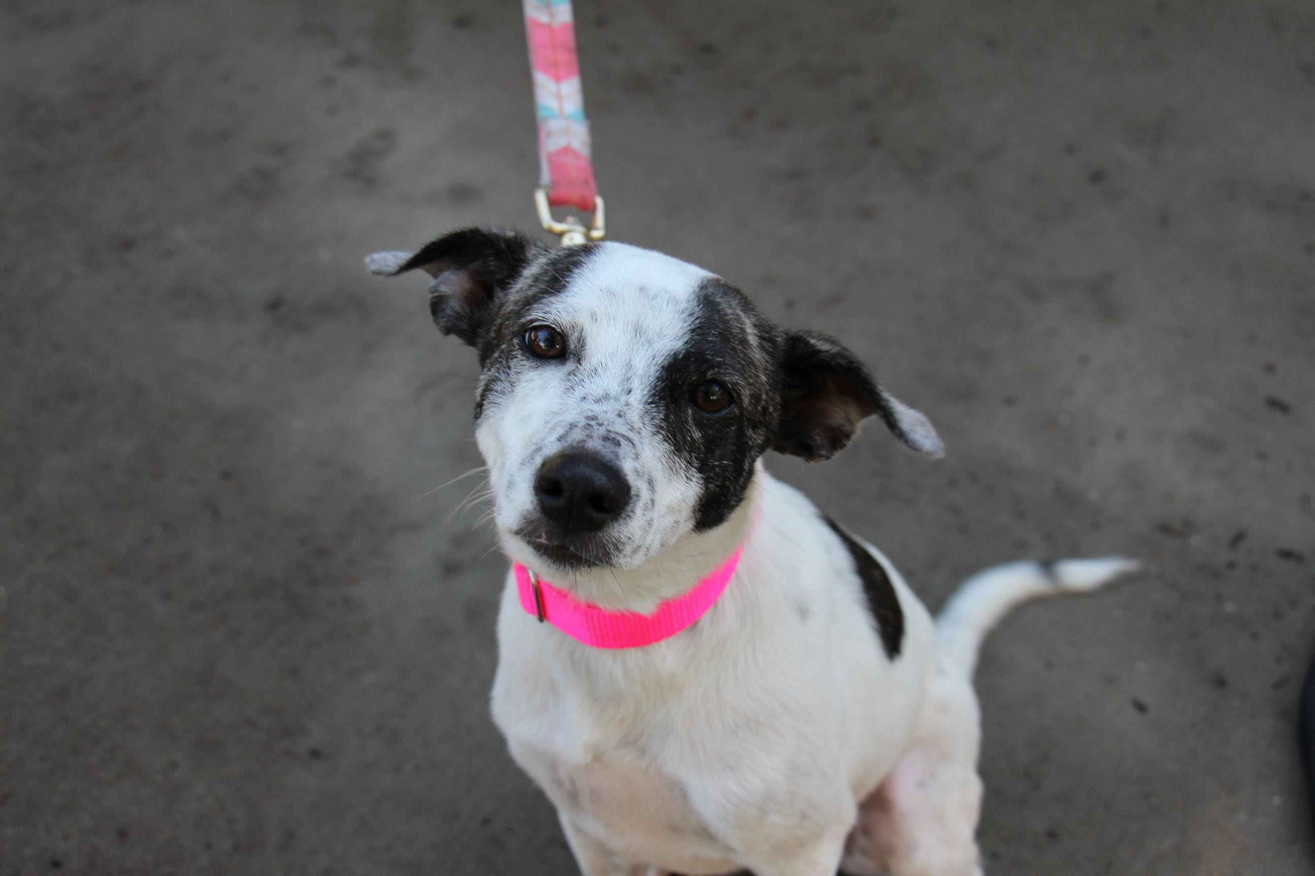 Article 16351 Thumbnail