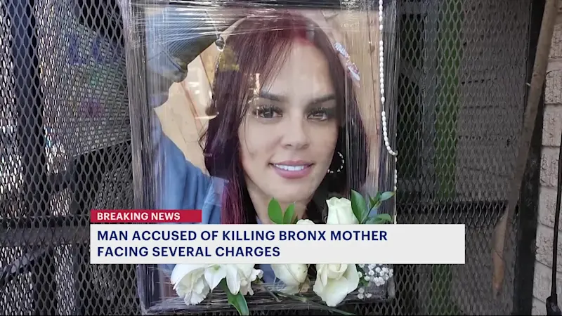 Story image: Man arrested in fatal stabbing of 35-year-old mother outside Kingsbridge Heights lounge