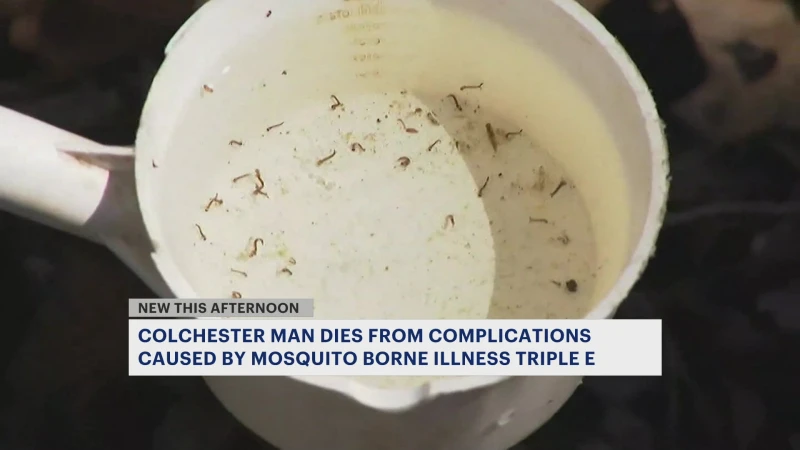 Story image: Hartford Healthcare doctor offers advice after Connecticut man dies from rare mosquito-borne virus 