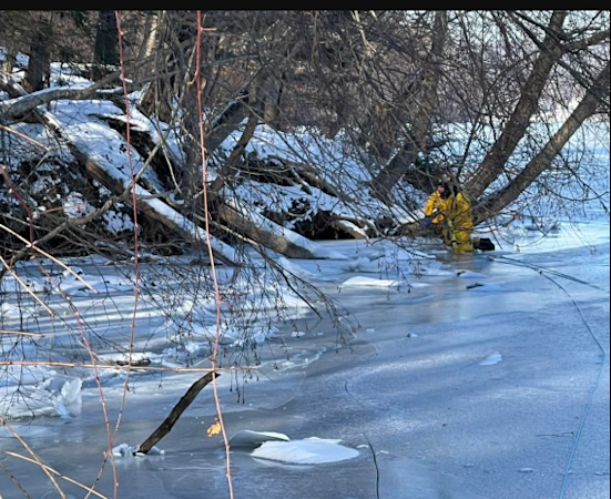 Story image: Stranded deer on Lake Lillinonah in Brookfield rescued 