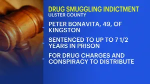 Kingston man sentenced to up to 7.5 years for drug smuggling