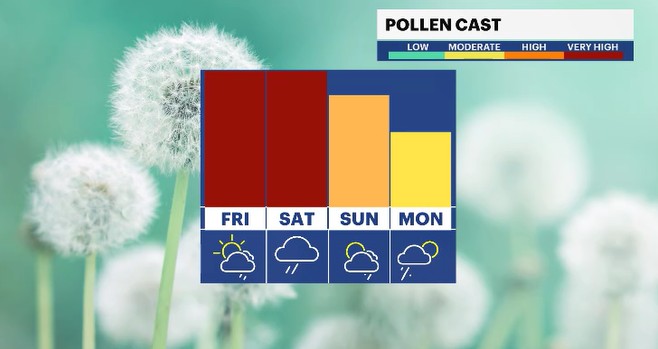 pollencast HV.JPG