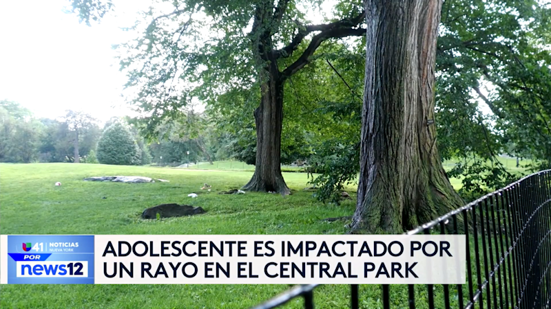 Story image: Univision 41 News Brief: Un adolescente de 15 años fue alcanzado por un rayo en Central Park