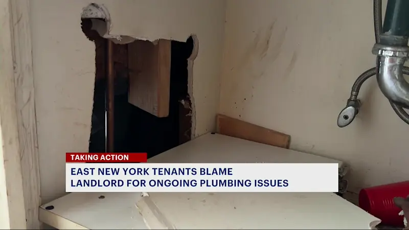 Story image: East New York tenants say landlord bullied them, ignored complaints, left apartments in disrepair