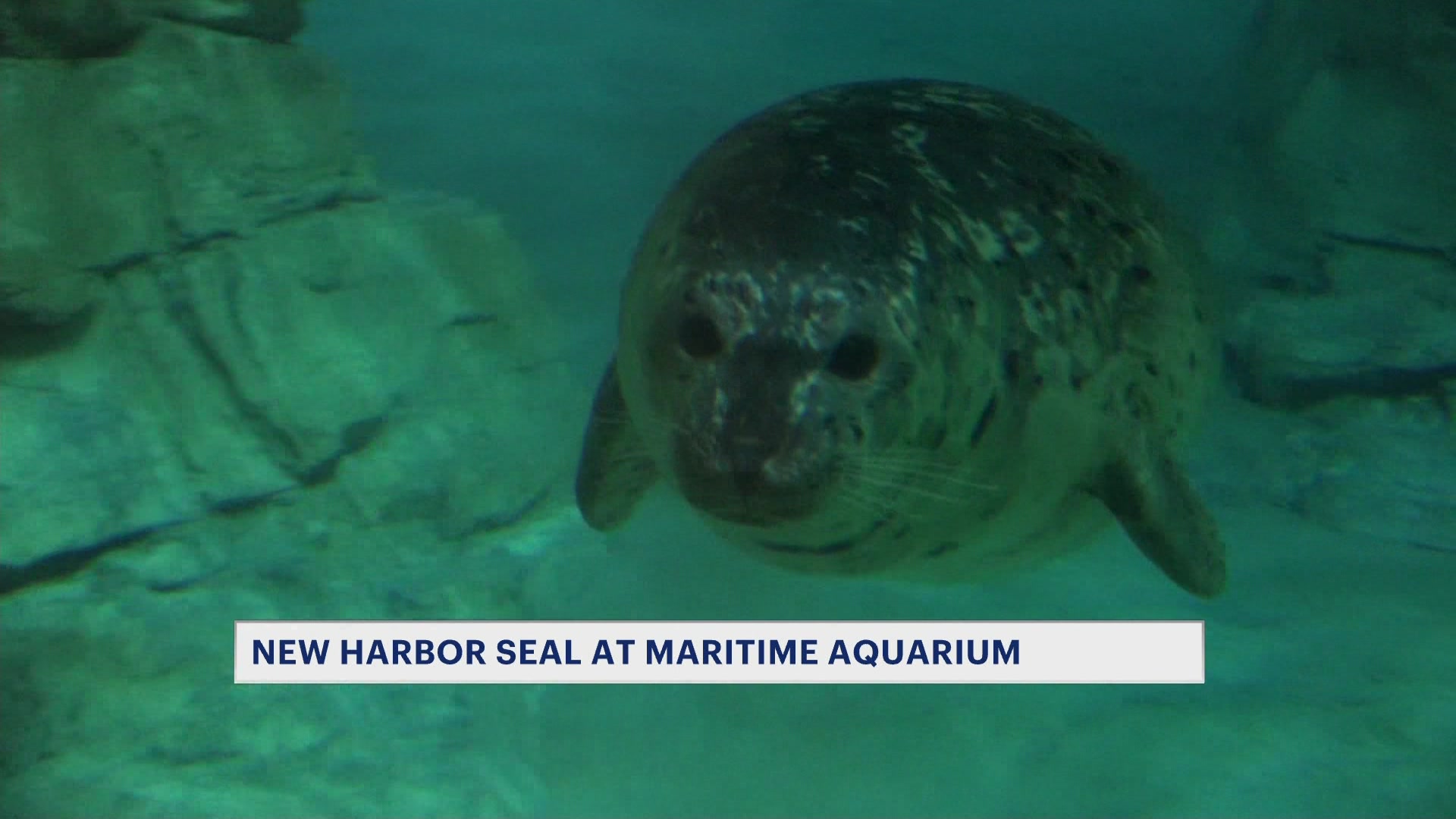 justinpkg0420_2026-04-20-21-22-50_21-09-30,25