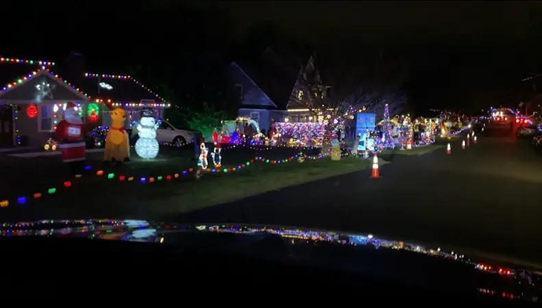 Story image: 'Lifts everybody's spirits.' Trumbull neighborhood light display raises money for charity