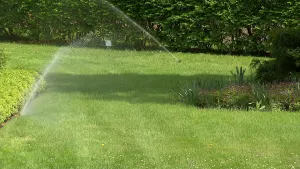 Suffolk Water Authority urges water conservation ahead of summer months