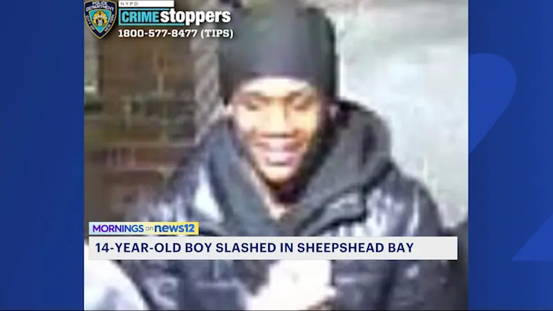 Story image: Teen punched, slashed in Sheepshead Bay