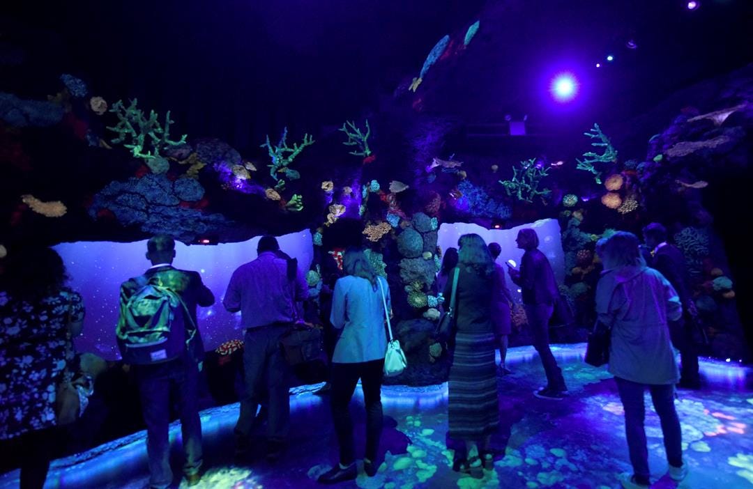 Article 9173 Thumbnail