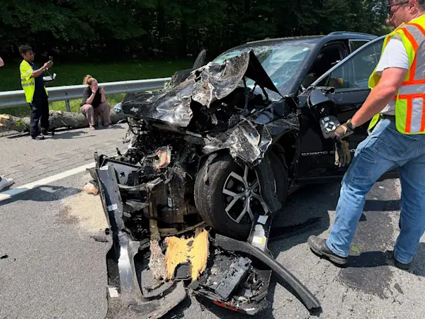 Story image: Car crashes into fallen tree on Thruway in Woodbury