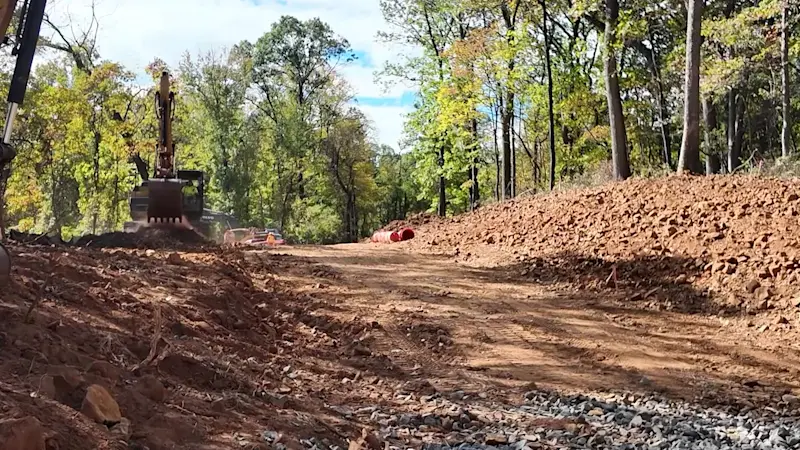Story image: Bridgewater calls on judge to step in, order injunction after hundreds of trees torn down by county