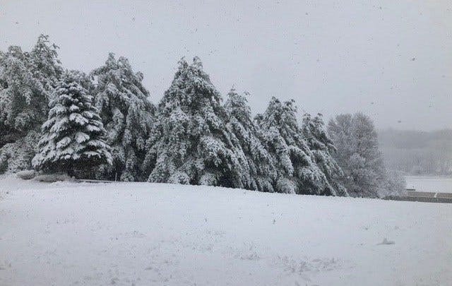 Article 32903 Thumbnail