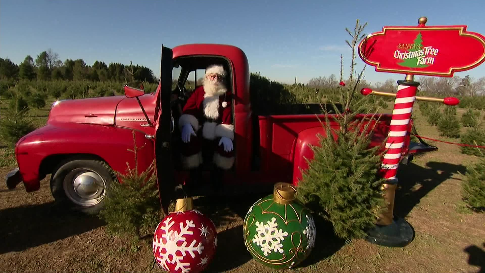 Take a trip to cut down your own tree at Santa's Christmas Tree Farm in