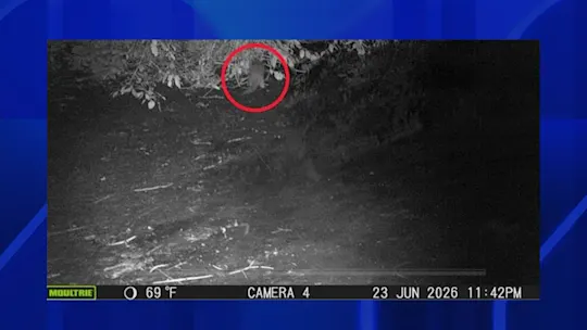 819ottersighting_2026-08-19-12-01-14