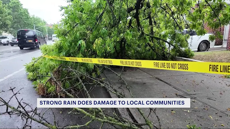 Story image: Rain takes down trees and impacts commuters