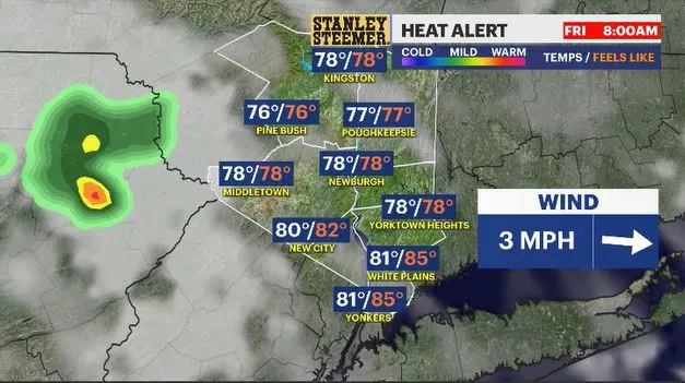 WCHV Fri 08022024 Temps Feels-Like 8am.JPG