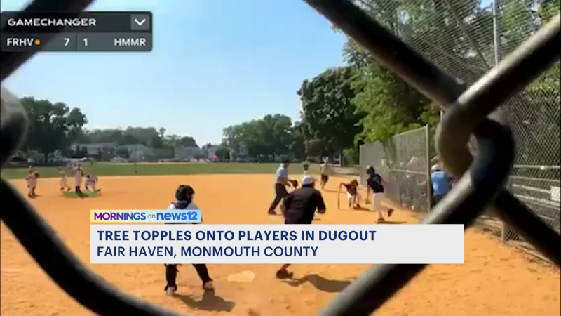 Story image: Caught on Camera: Tree crashes onto NJ baseball field during kids’ game