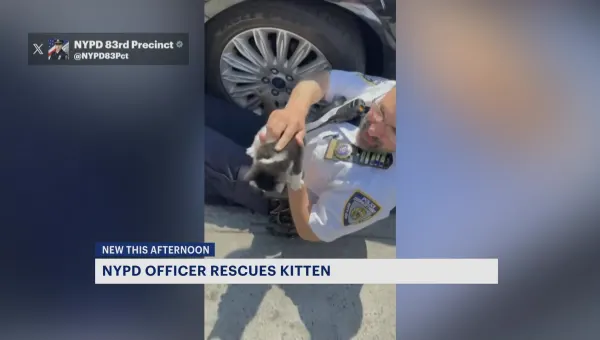 Video captures moment NYPD officer rescues kitten in Brooklyn