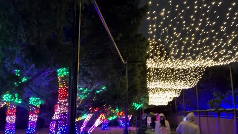 Story image: Brooklyn Botanic Lightscape winter light show returns for its fourth year