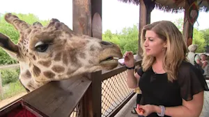 Take a fun trip with the family to White Post Farms