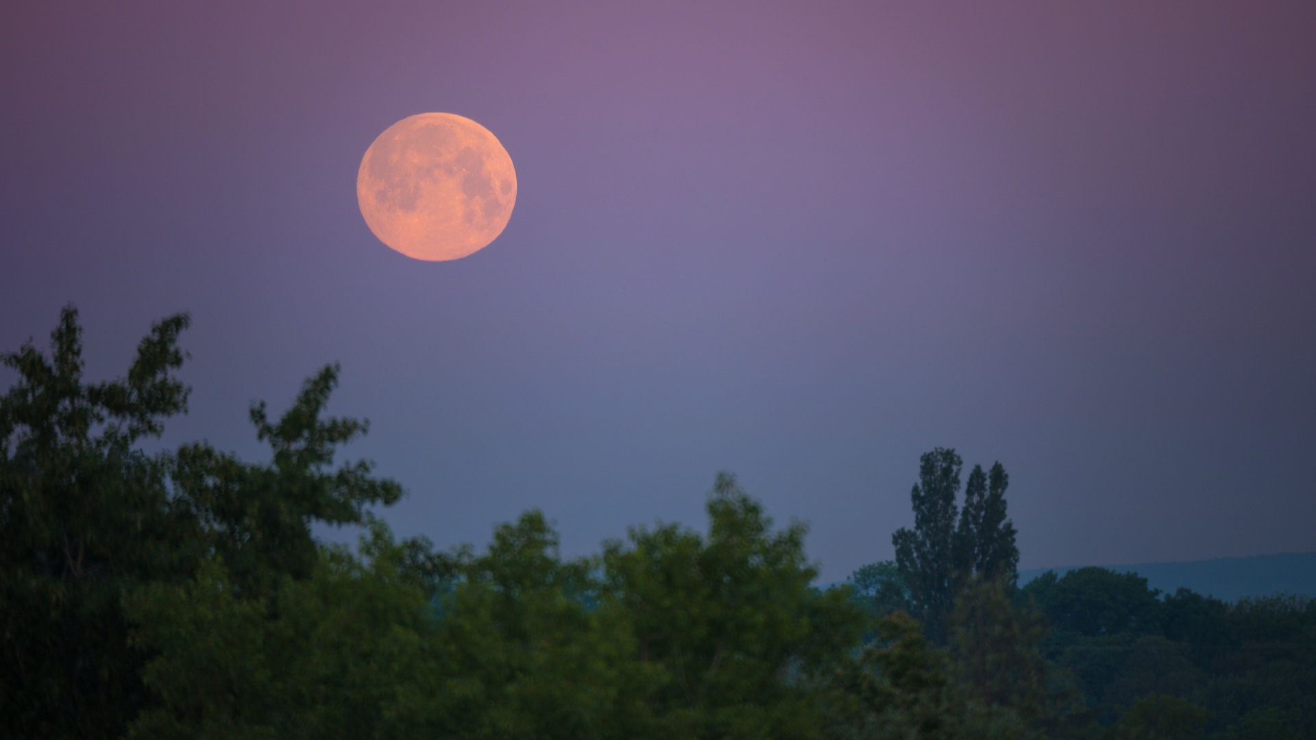 Tonight's 'Pink Moon' Full Moon Could Actually Be Pink In Some Places