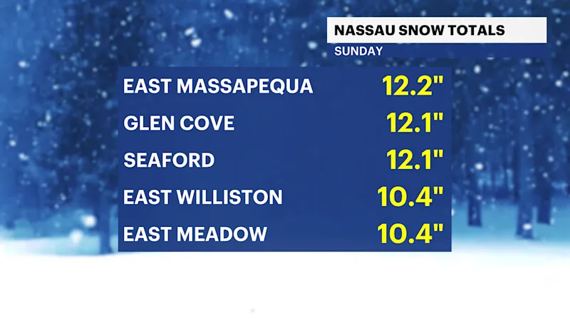 nassau-snow-totals.png