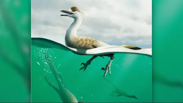 Newly discovered dinosaur species may be prehistoric ancestor to penguins, ducks
