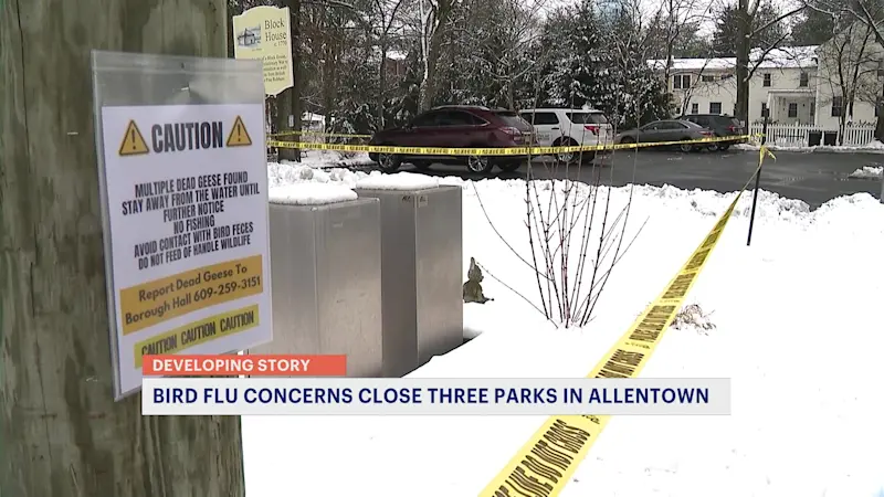 Story image: Officials: Bird flu outbreak possibly linked to goose deaths in Allentown; 3 town parks closed