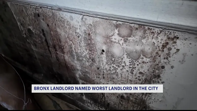 Story image: NYC's 'Worst Landlords' list released 