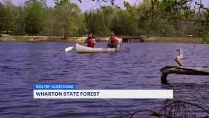 Looking for a fun filled day outdoors? Get lost in the woods at Wharton State Forest