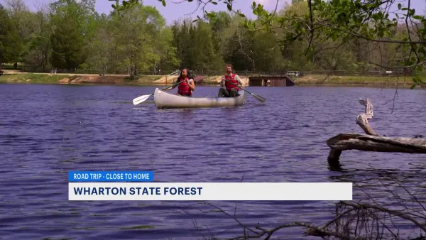 Looking for a fun filled day outdoors? Get lost in the woods at Wharton State Forest