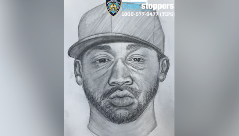 Story image: NYPD seeks public's help to identify Central Park assault suspect